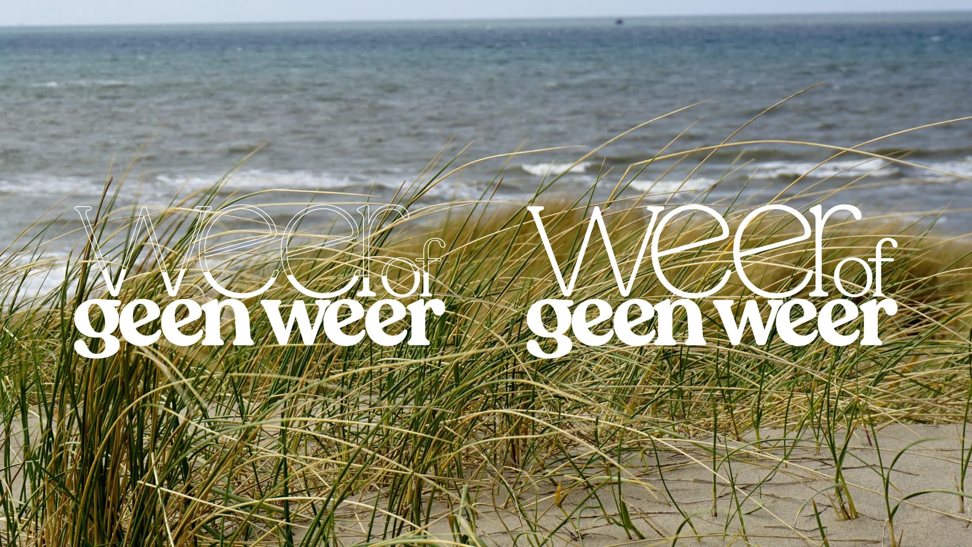 Logo op portfolio